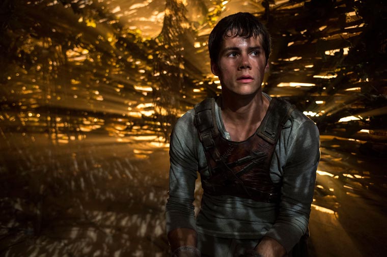 The Maze Runner, Dylan O'Brien