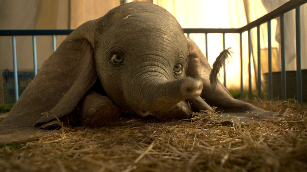 Disney, live-action, Dumbo